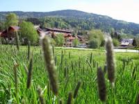 Bauernhof im Bayerischen Wald