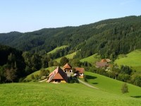 Schwarzwald Bauernhof