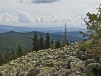 Natur im Bayerischen Wald