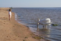 Ostsee mit Baby