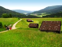 Schwarzwald Fasten