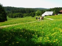 Schwarzwald Ferien