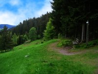 Schwarzwald Wandern