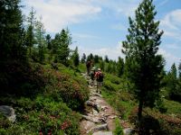 Wellnessurlaub Wandern