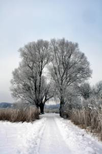 Wellness im Winter in Bayern