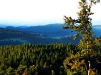 Schwarzwald Sommer 