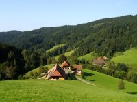 Schwarzwald mit Kinder Bauernhof