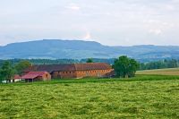 Wellnessurlaub Österreich Bauernhof