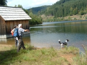 Wellnessurlaub Österreich günstig mit Hund