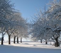 Wellnessurlaub Österreich Alpen im Winter