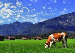 Wellnessurlaub Bayern - Kurzurlaub Therme