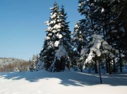 bayerischer wald weihnachten silvester