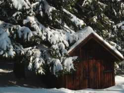 bayerischer-wald-winter-skifahren