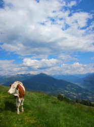 Wellnessurlaub Österreich Eltern mit Kindern