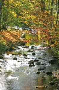 Wellnessurlaub Bayerischwer Wald Kurzurlaub