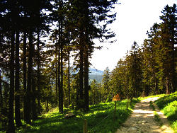 Mit der Familie zur Entspannung in den Schwarzwald