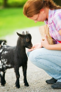 Wellnessurlaub mit Baby Bayern