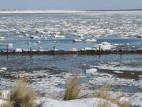 Das Wattenmeer im Winter - Erholung für Körper und Geist